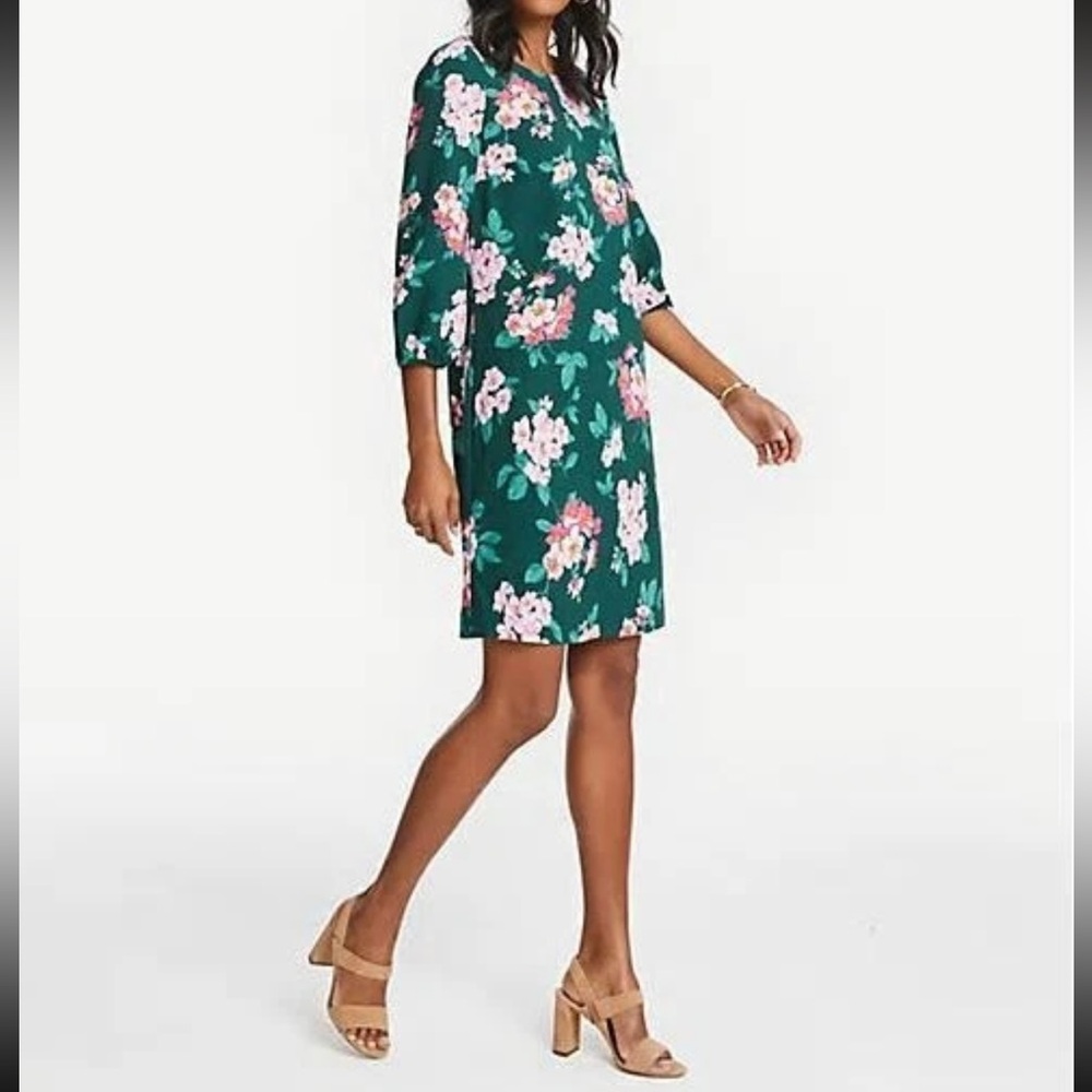Ann Taylor Petite Green Pink Floral 3/4 Sleeve Shift Dress -Sz. 4P